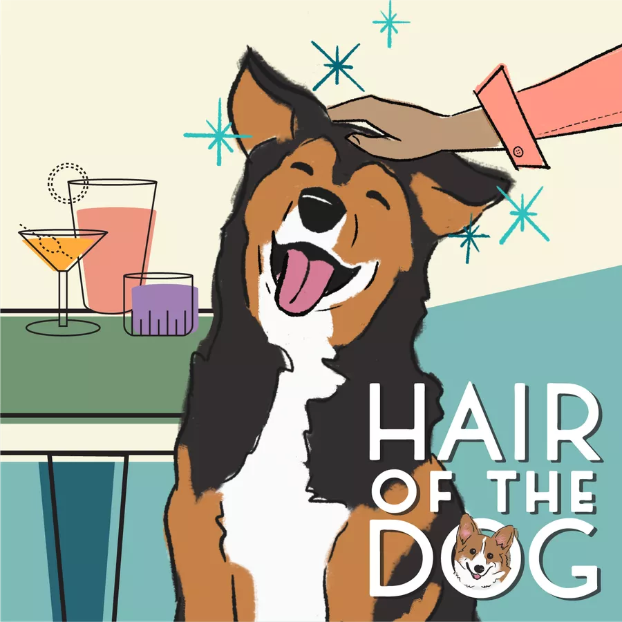 Hair of the Dog - Ding & Dent Demo Copy